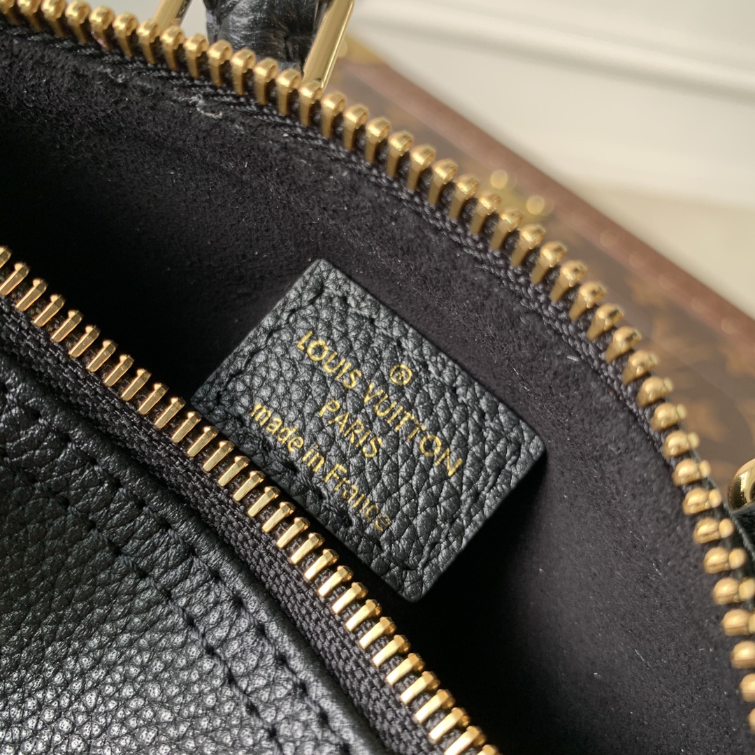 LV Speedy Bags